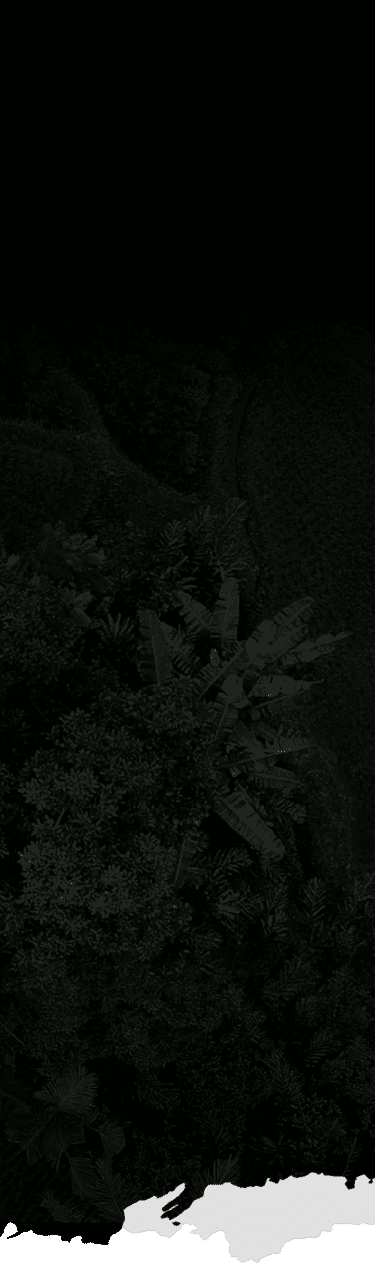 new-bg-top-v2