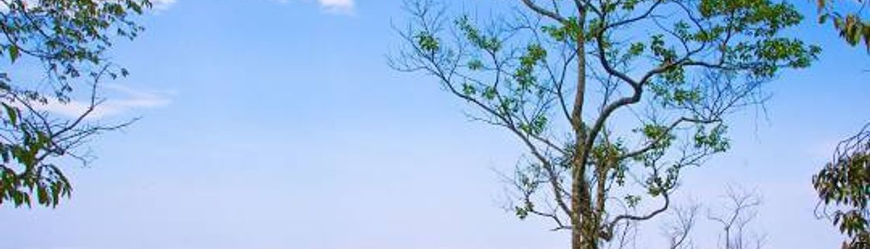 Ba Vi National Park