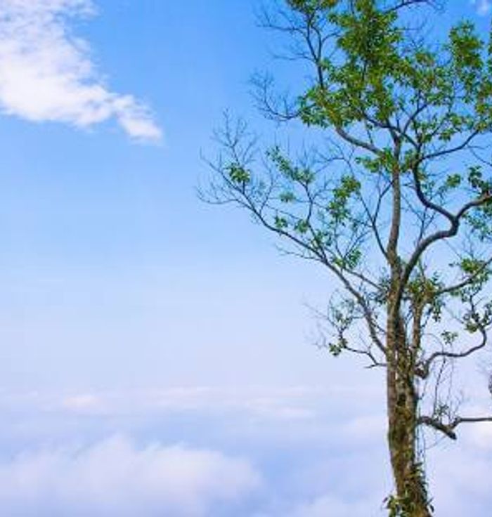 Ba Vi National Park