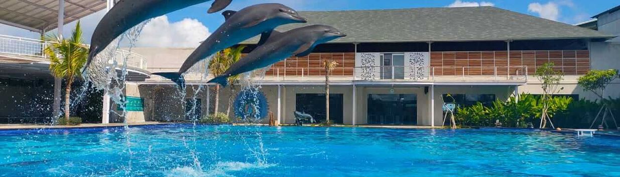Bali Dolphin Sanctuary