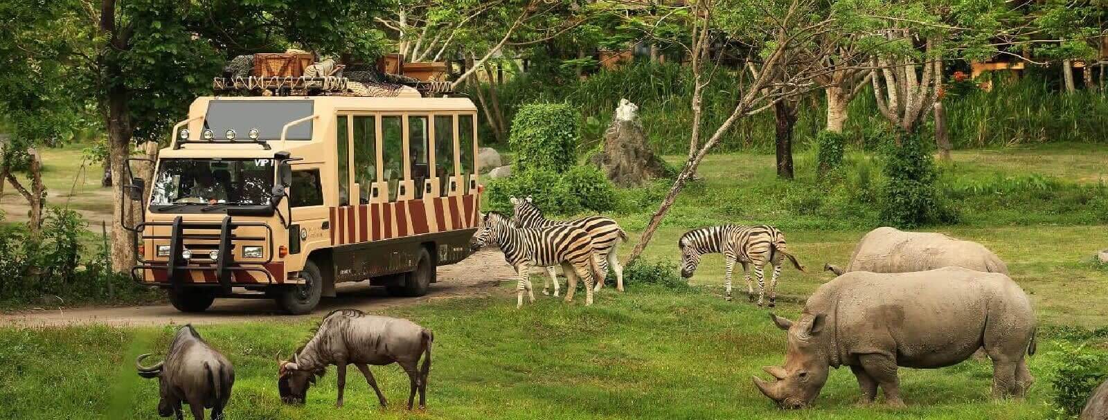 Bali safari