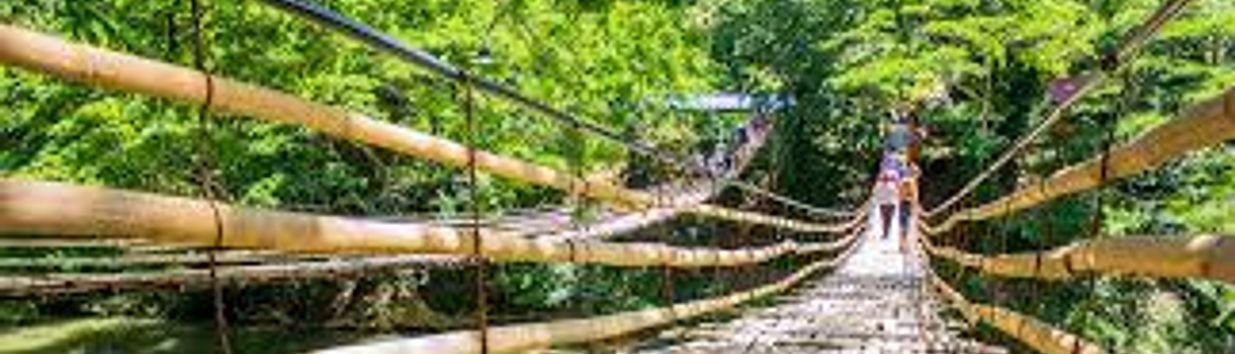 Bamboo Hanging Bridge