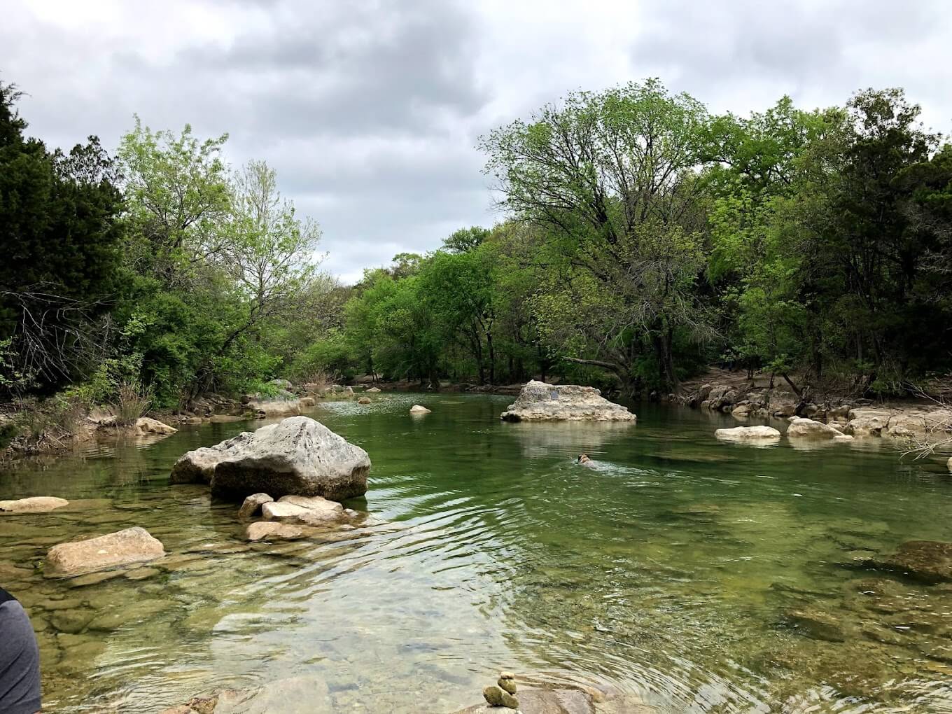 Barton Creek Greenbelt Entrance Fee, Opening Hours & More