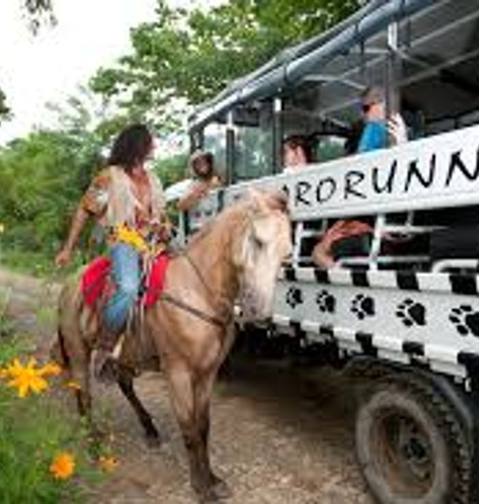 Bavaro Runners Adventures