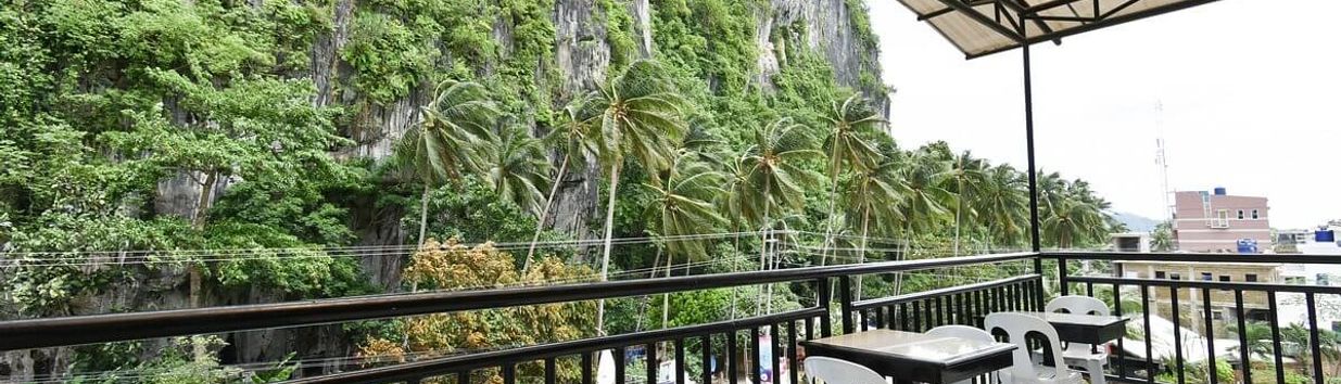 Bird's Nest Form (El Nido Swiftlet)