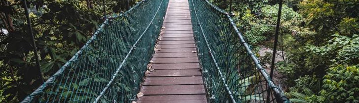 Bukit Nanas Forest Reserve