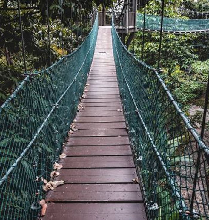 Bukit Nanas Forest Reserve