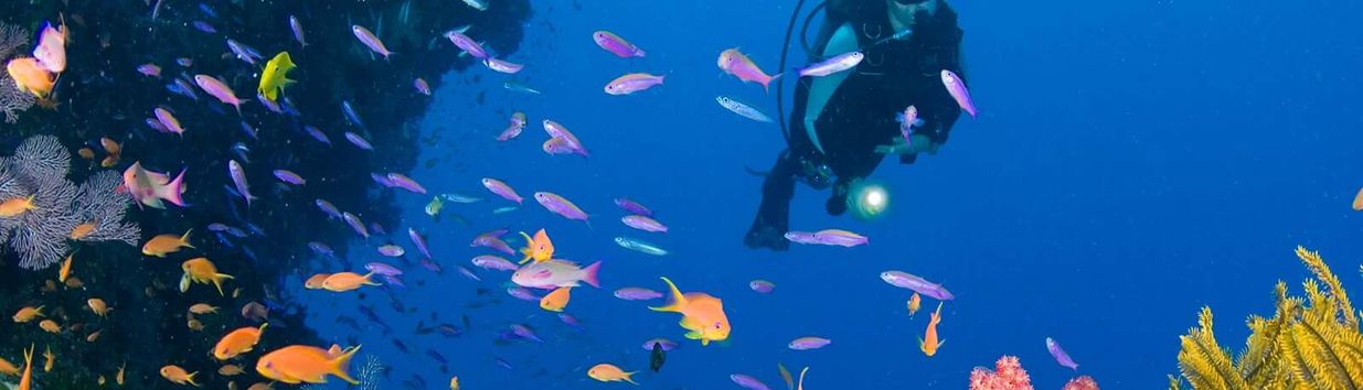 Camia Dive Site