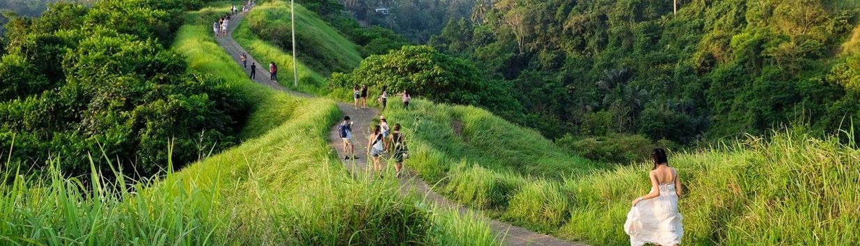 Campuhan Ridge Walk