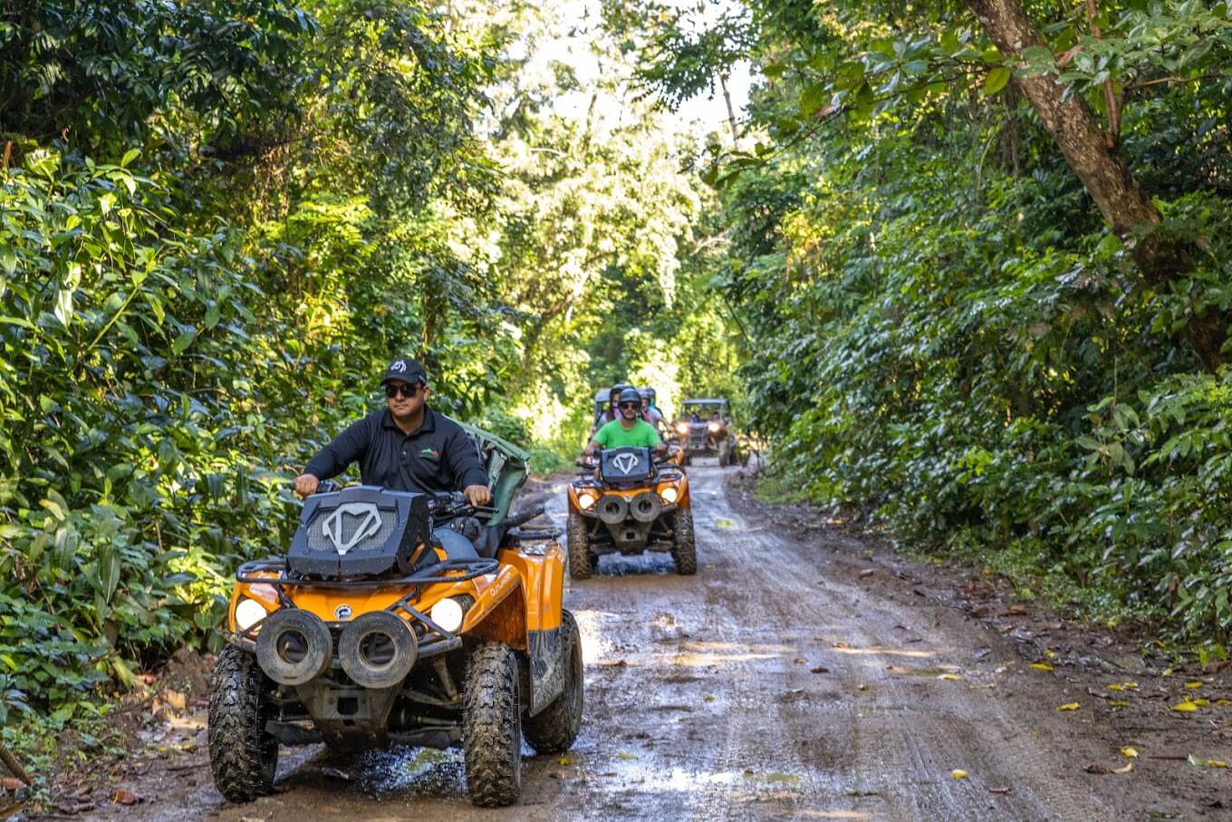 Carabali Rainforest Adventure Park Entrance Fee, Opening Hours & More