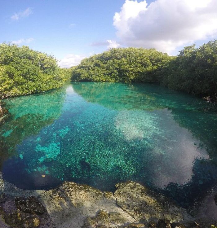 Casa Cenote