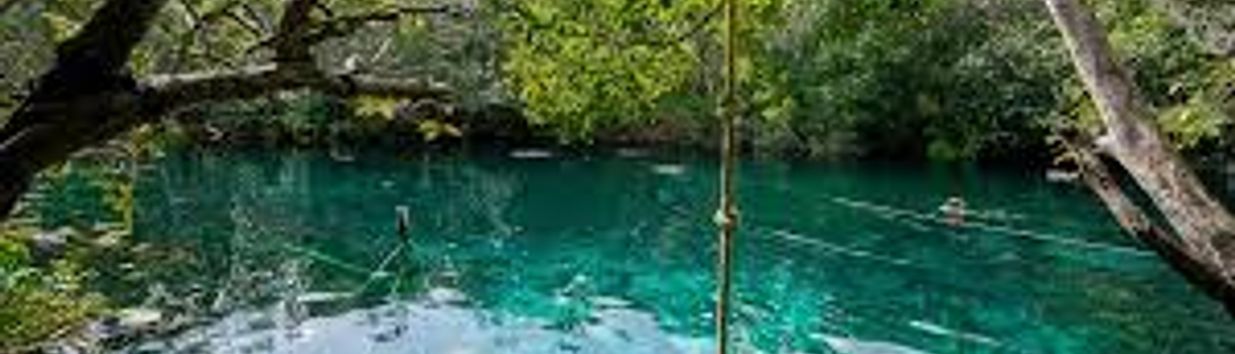 Cenote Car Wash
