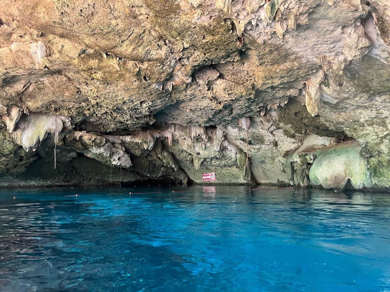 Cenote Calavera | Entrance Fee, Opening Hours & More