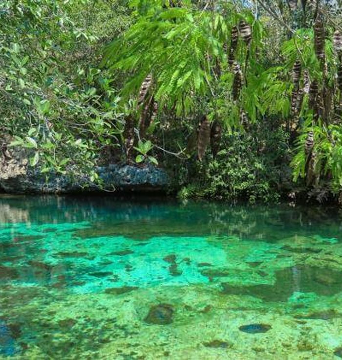 Cenote Yax-kin