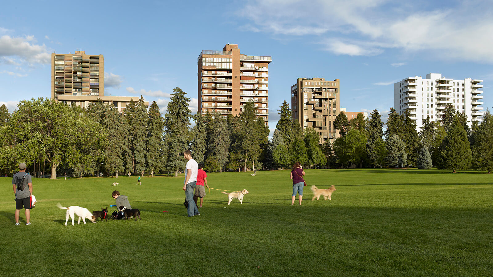 Cheesman Park