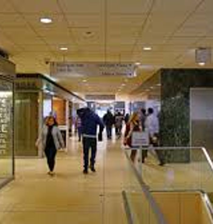 Chicago Pedway Tour