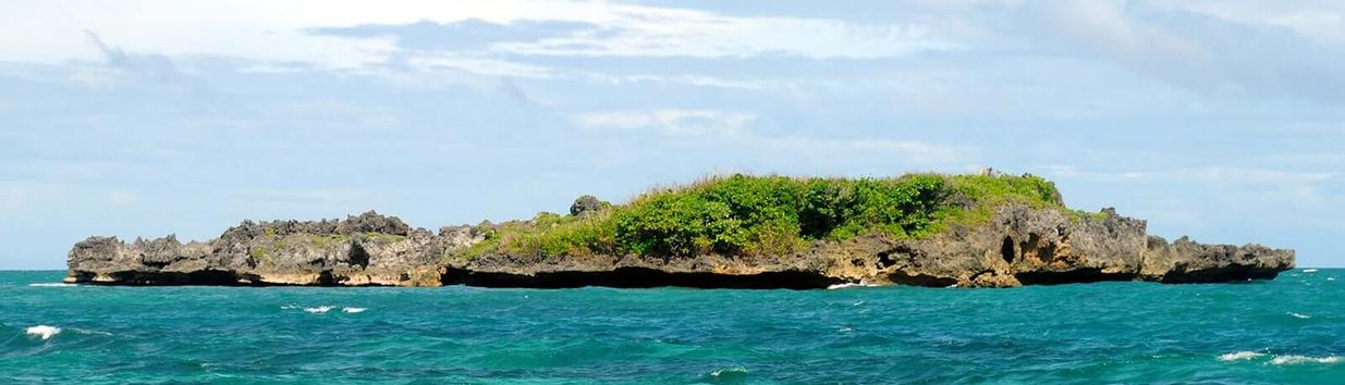 Crocodile Island