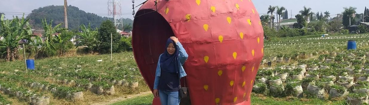 CS Strawberry Farm