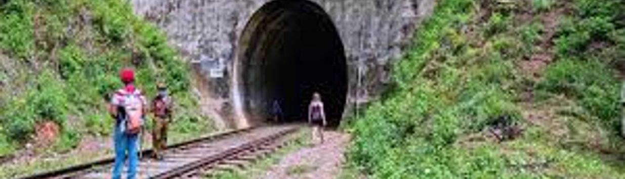 Demodara Loop