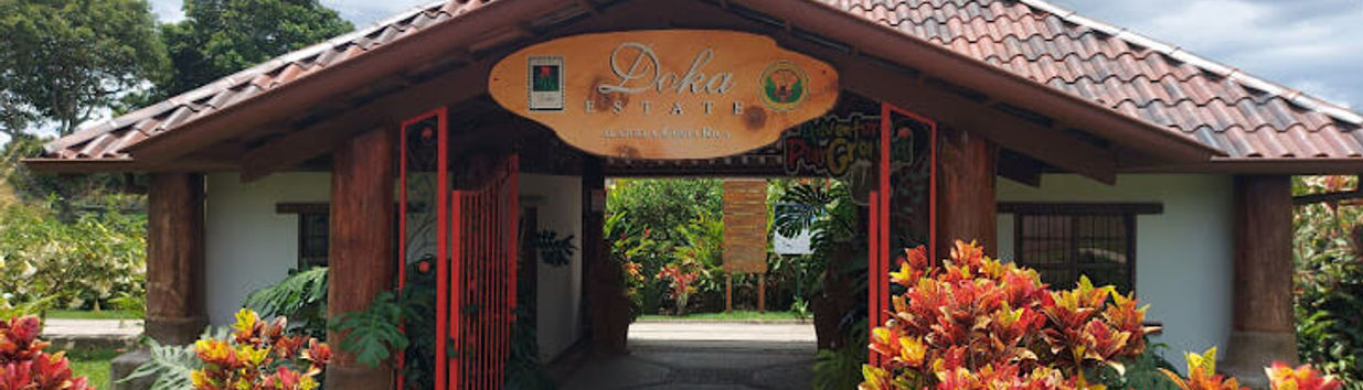 Doka Coffee Estate