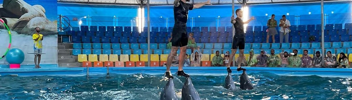 Dolphins Bay Phuket