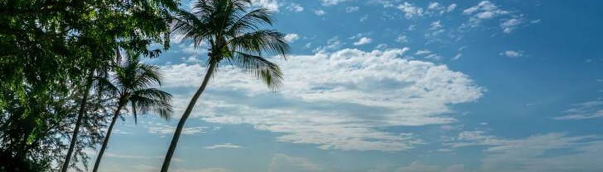 East Coast Park