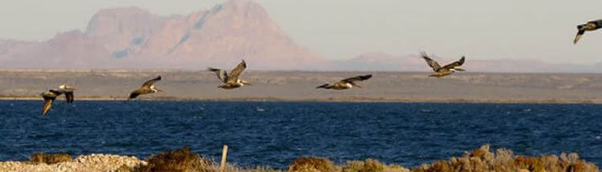 El Vizcaíno Biosphere Reserve