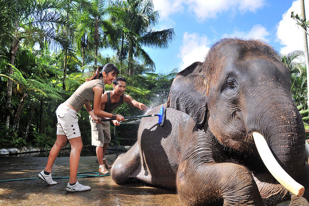 Elephant Safari Park Lodge Bali