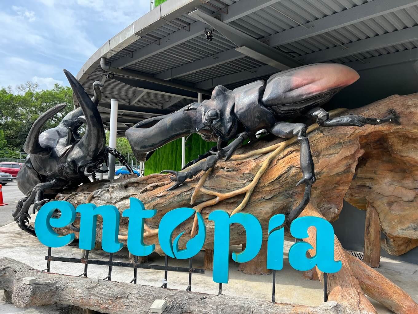 Entopia by Penang Butterfly Farm | Entrance Fee, Opening Hours & More