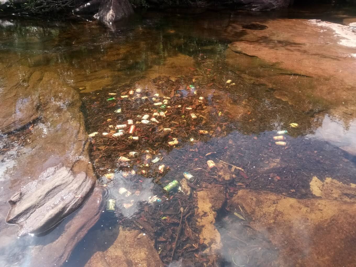 Fairy Spring