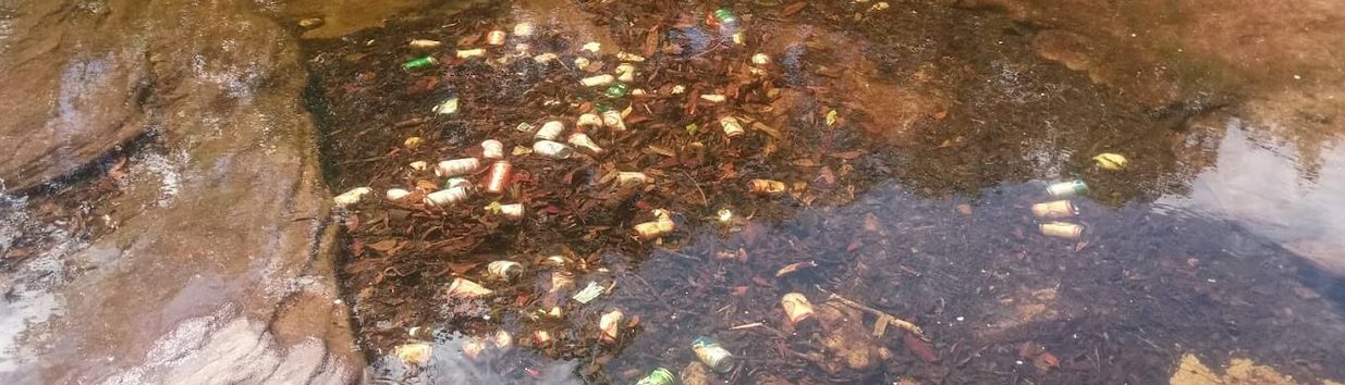 Fairy Spring