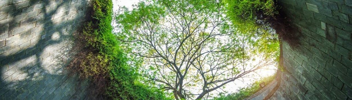 Fort Canning Park