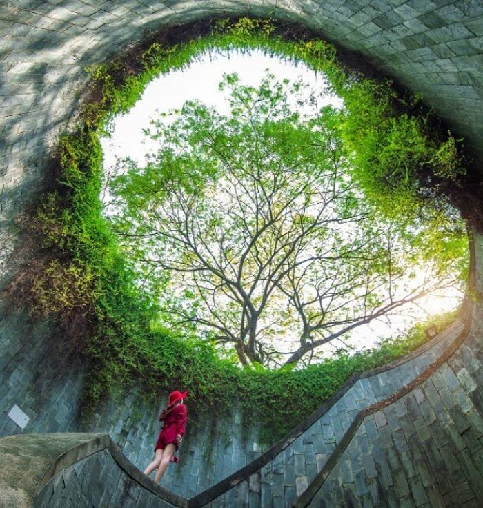 Fort Canning Park