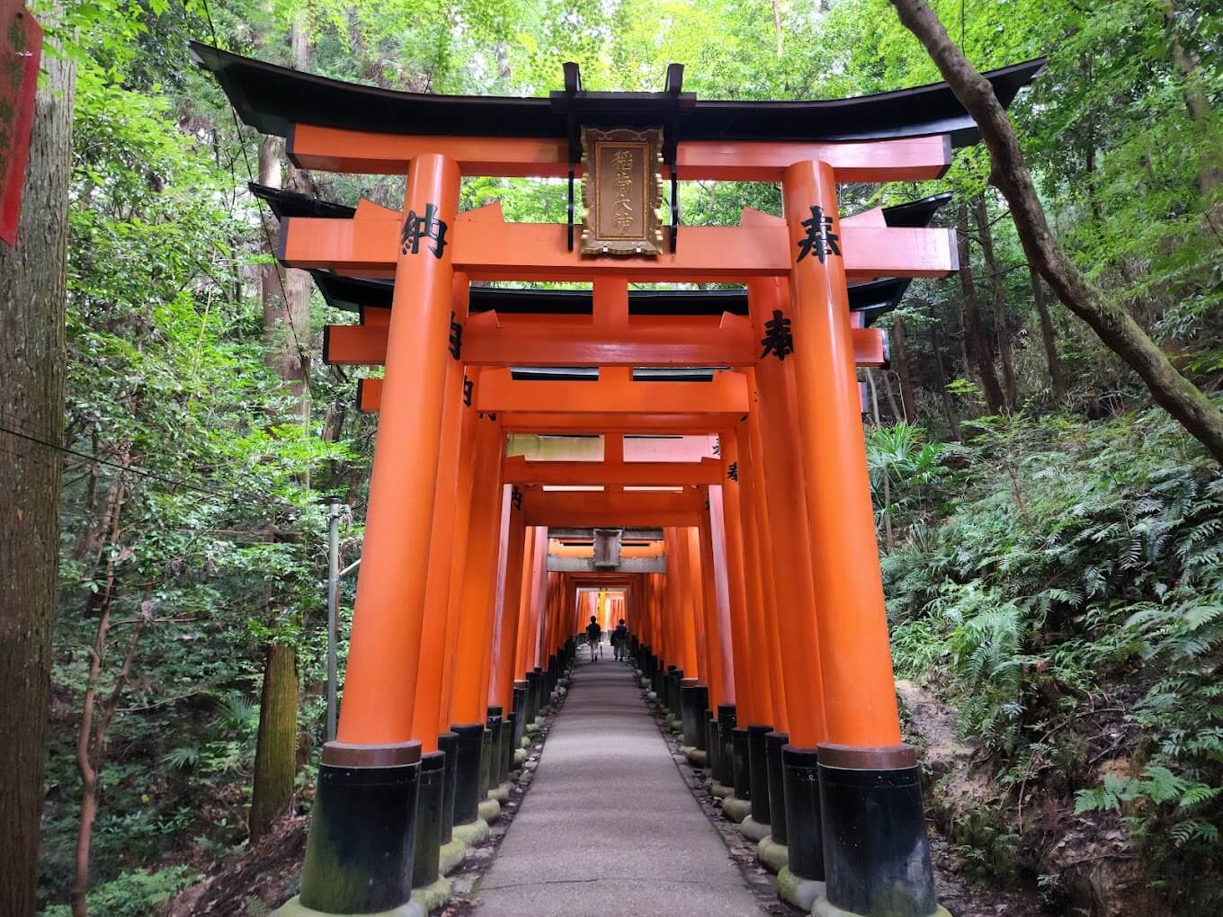 Fushimi Inari Taisha Entrance Fee Opening Hours More