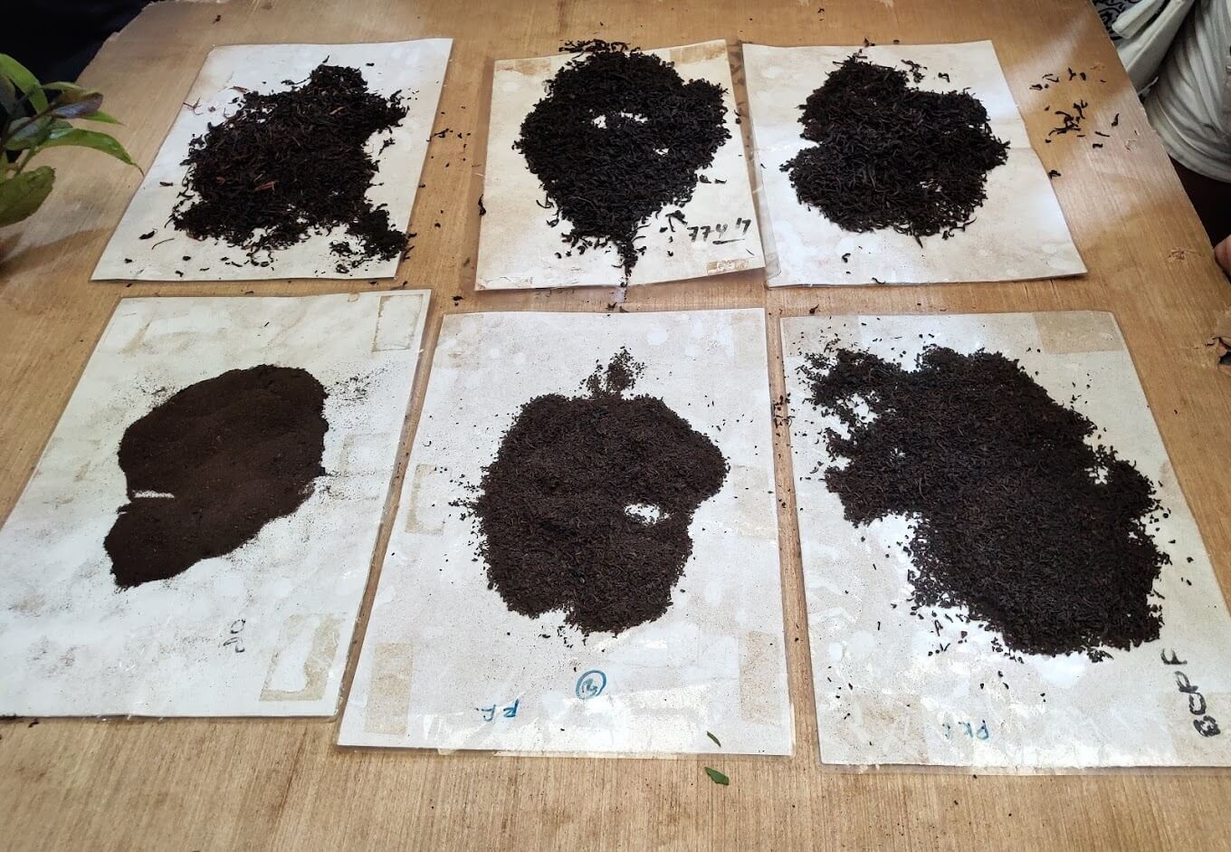 Garagama Tea Factory