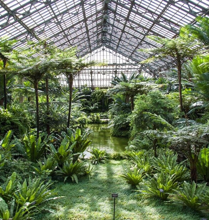 Garfield Park Conservatory