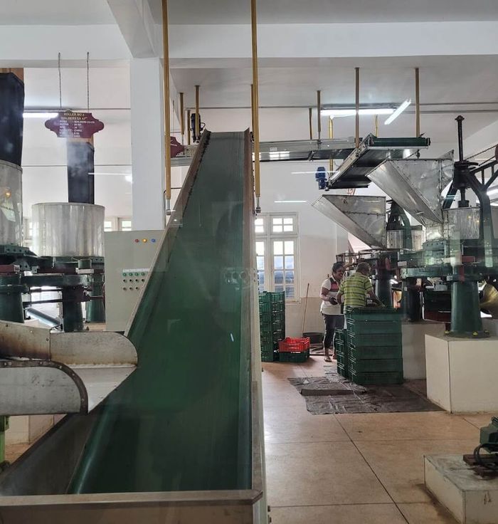 Geragama Tea Factory