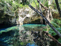 Gran Cenote | Entrance Fee, Opening Hours & More