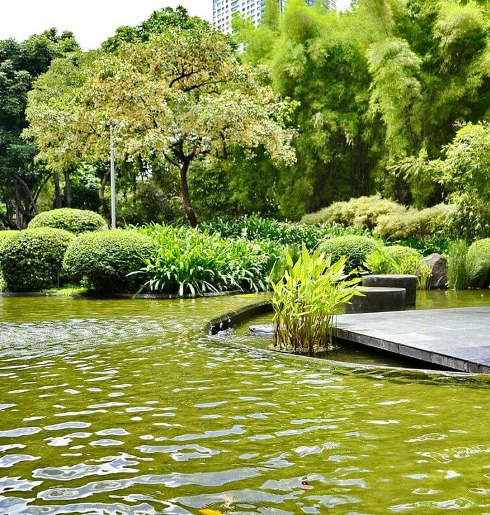 Greenbelt Park