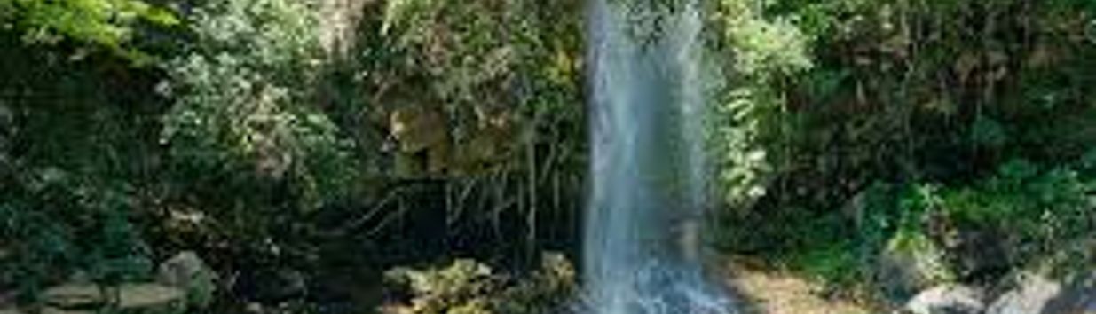 Guanacaste National Park