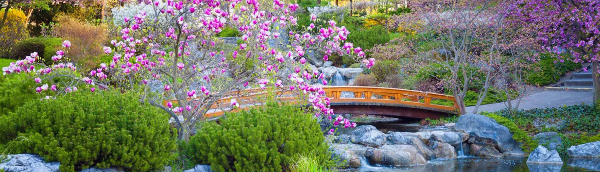 Japanese Garden