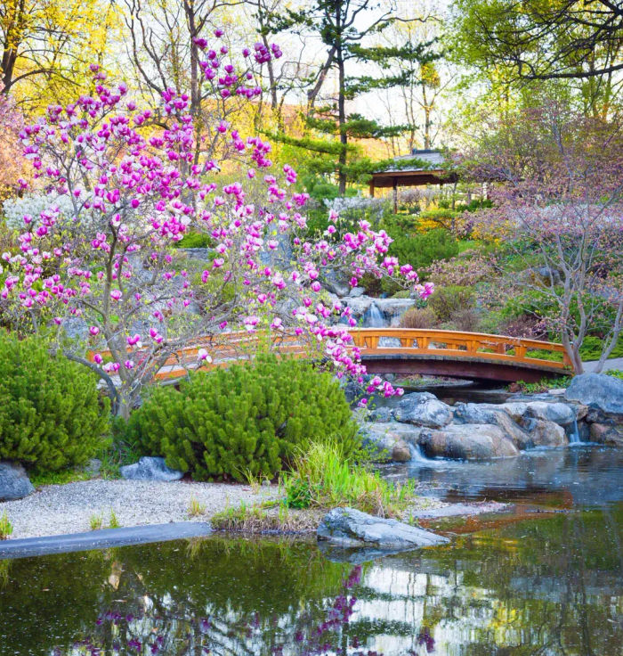 Japanese Garden