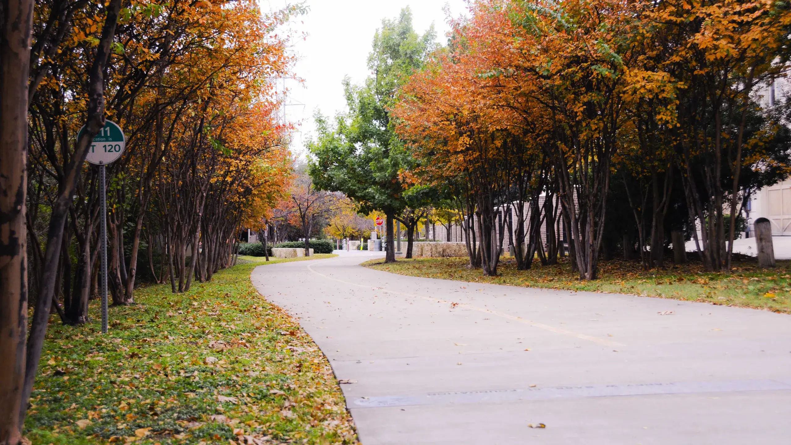 Katy Trail Dallas Entrance Fee Opening Hours More   Katy Trail Dallas 2029.webp