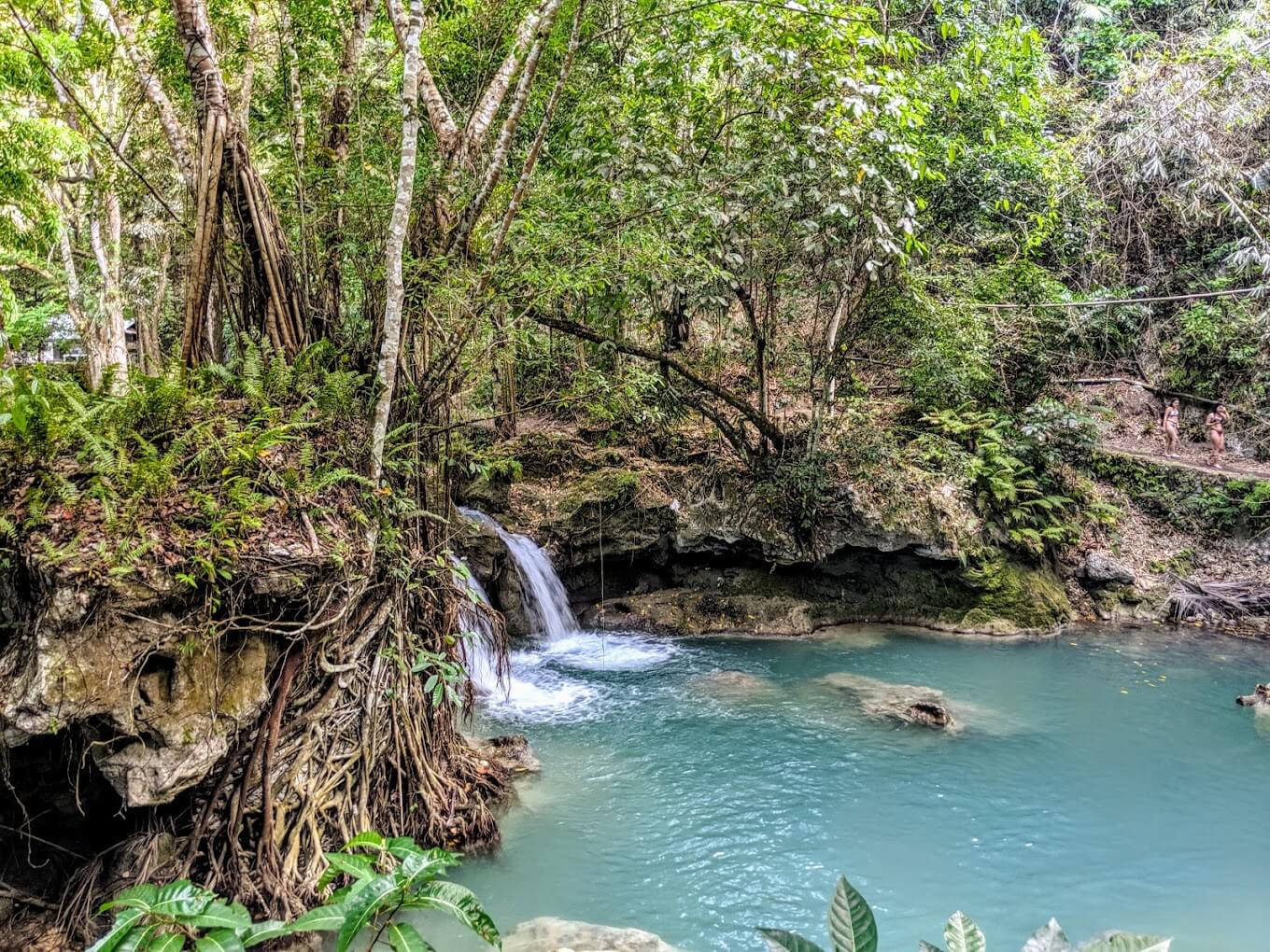 Kawasan Falls | Entrance Fee, Opening Hours & More