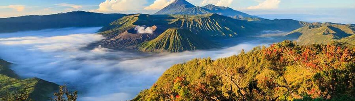 Kintamani