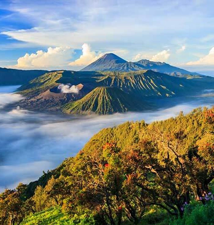 Kintamani