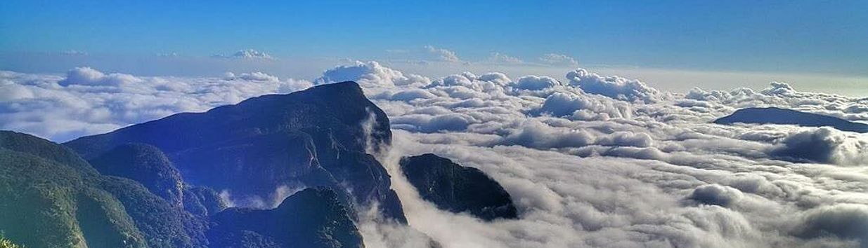 Knuckles Mountain Range