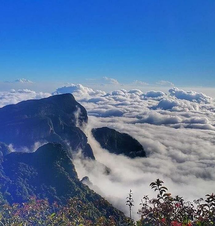 Knuckles Mountain Range
