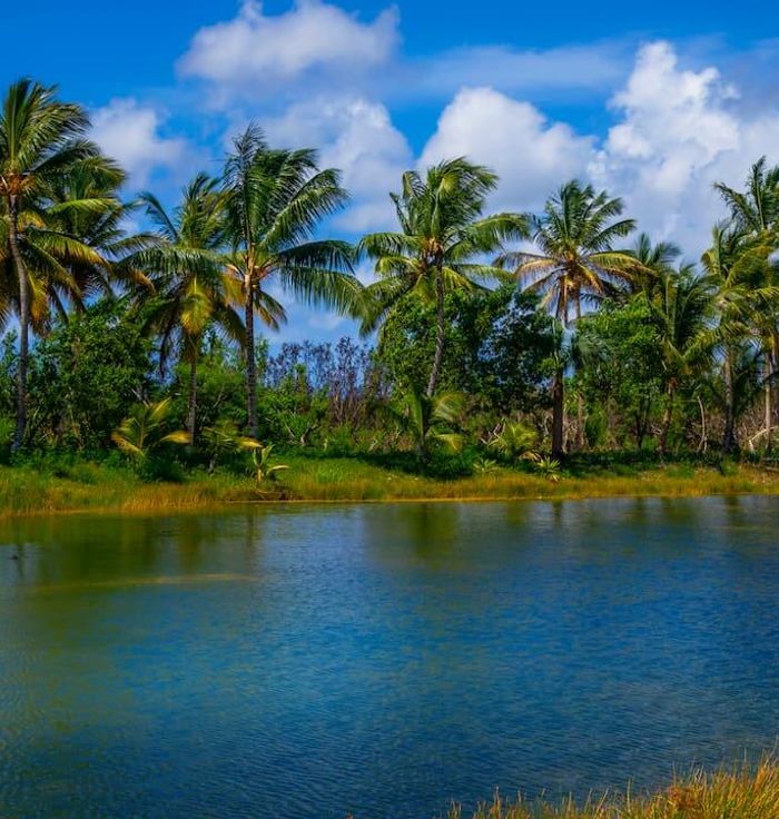 Laguna Bavaro