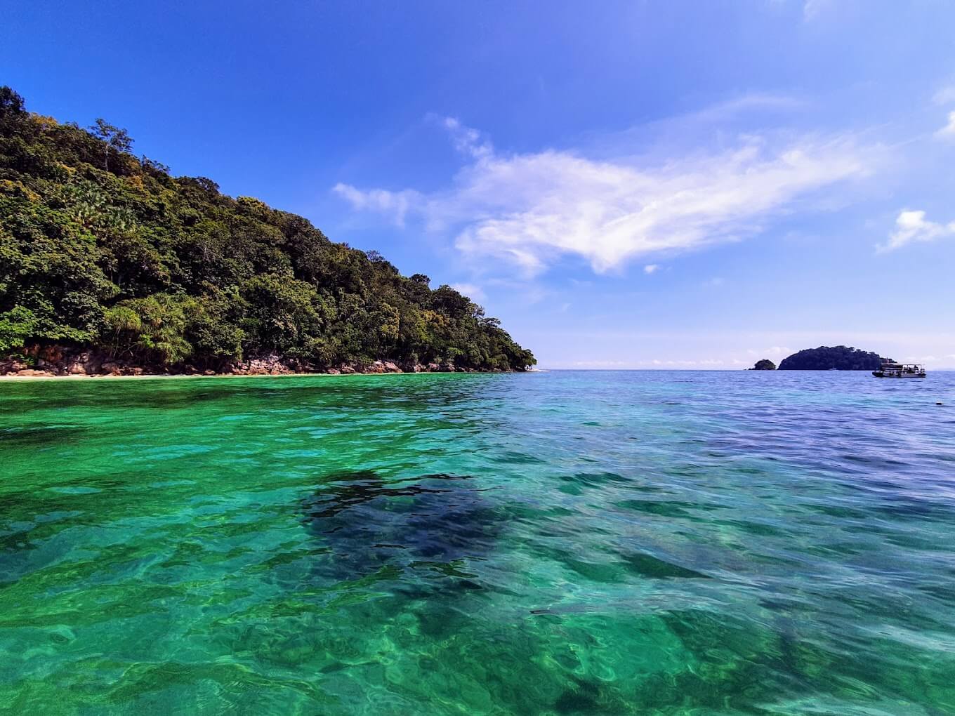 Langkawi Coral